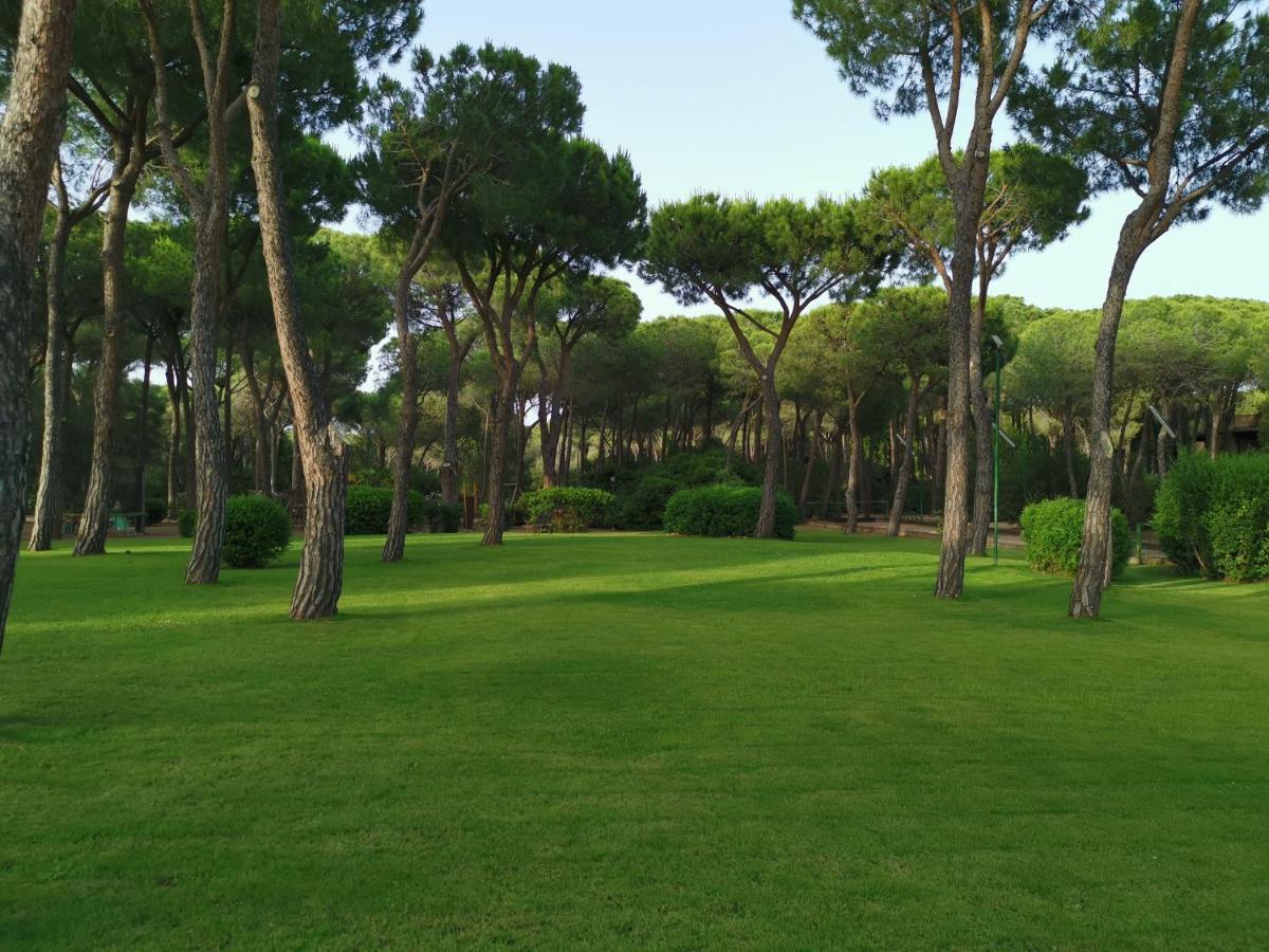 Deliziosa Villetta Sul Mare Appena Ristrutturata พูลา ภายนอก รูปภาพ